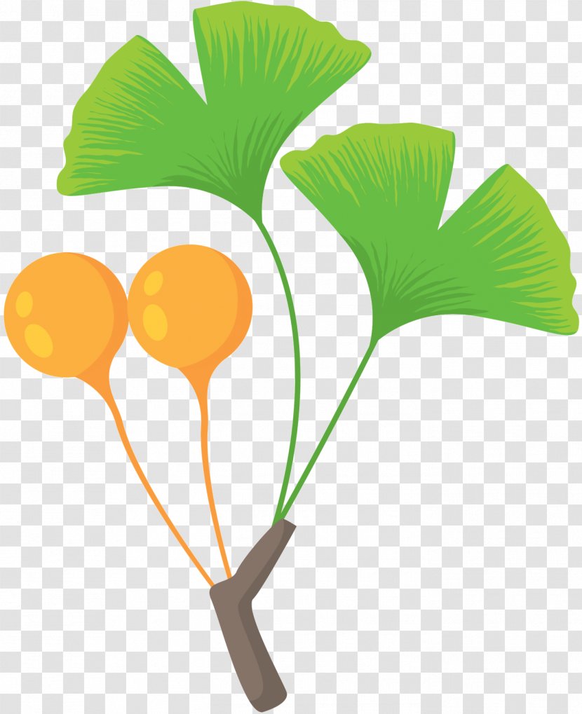 Maidenhair Tree Leaf - Botany - Color Gradient Transparent PNG