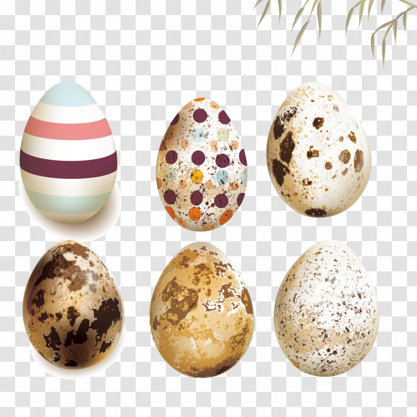 Photography Illustration - Bird Nest - Vector Quail Eggs Transparent PNG