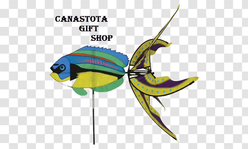 Fish Wrasse Aquatic Animal Seahorse Clip Art Transparent PNG