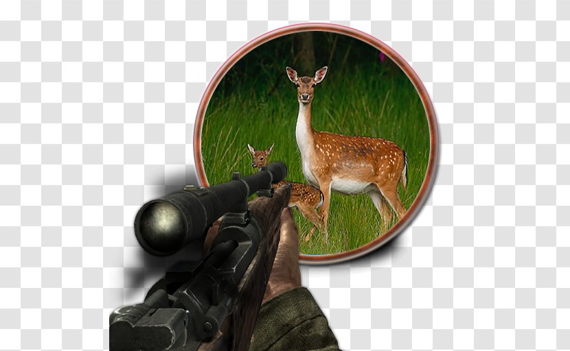 Deer Hunter 3D The Youth Of Bacchus Hyena Fallow - Animal Transparent PNG