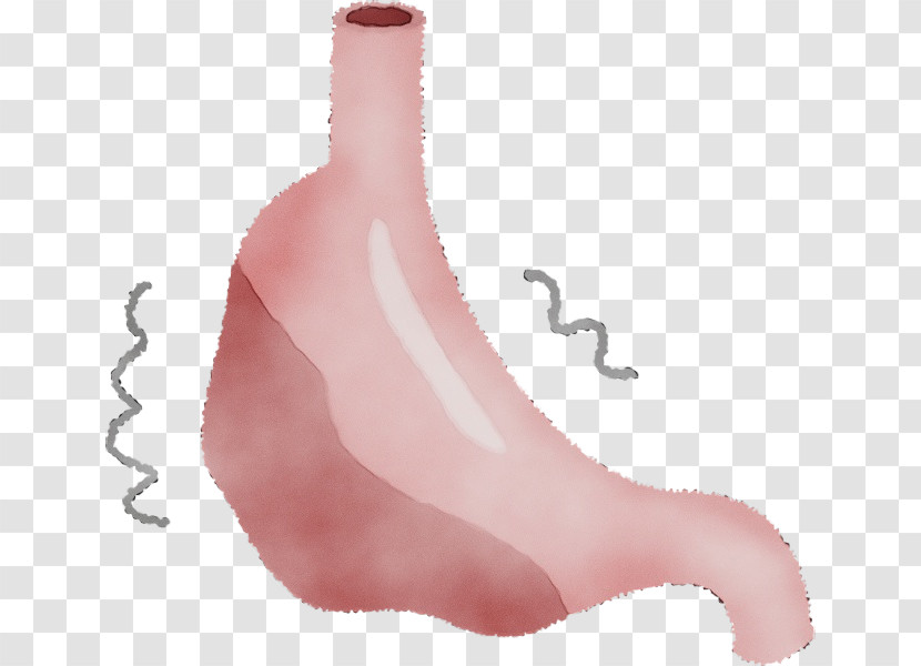 Pink Nose Finger Plant Thumb Transparent PNG