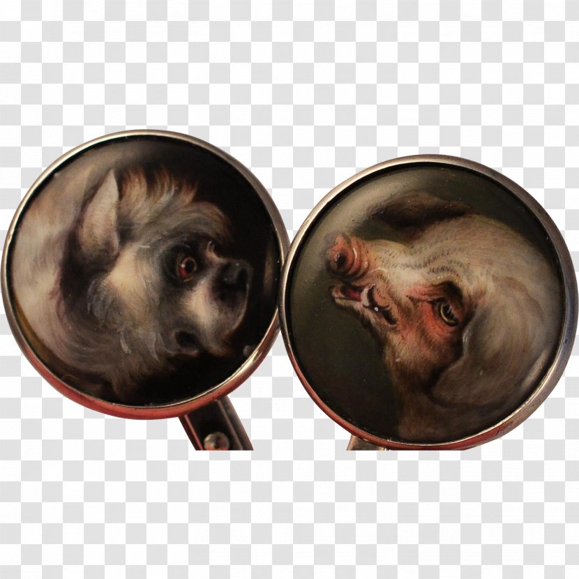 Dog Snout Canidae Animal Ear - Boar Transparent PNG