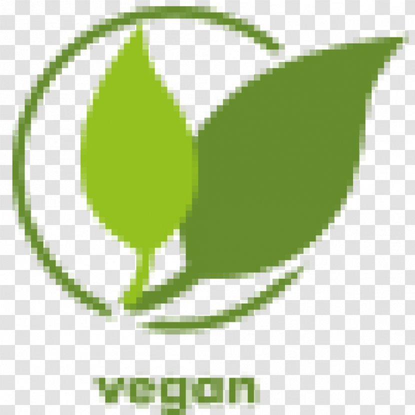 Best Body Nutrition L-Carnitine 1800 Capsule Veganism Ironbody Fitness & Bodybuilding Shop - Also Holding - Vegetarian Bodybuilder Transparent PNG