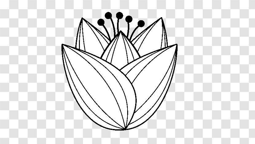 Drawing Coloring Book Tulip Zentangle How To Draw - Line Art Transparent PNG