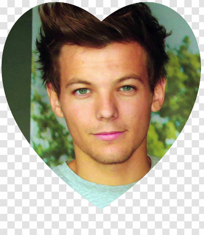 Louis Tomlinson Celebrity One Direction Image Photography - Tree Transparent PNG
