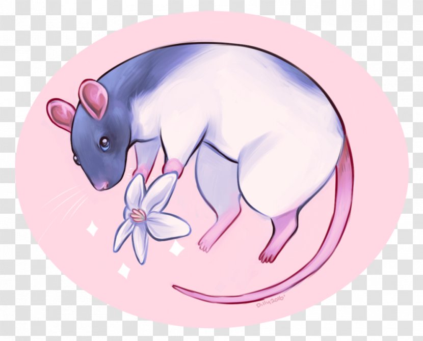 Mouse Pig Whiskers Snout - Character Transparent PNG