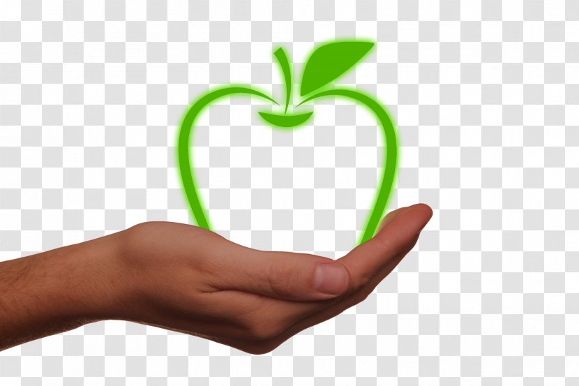 Apple Energy Natural Environment Health Macintosh Transparent PNG