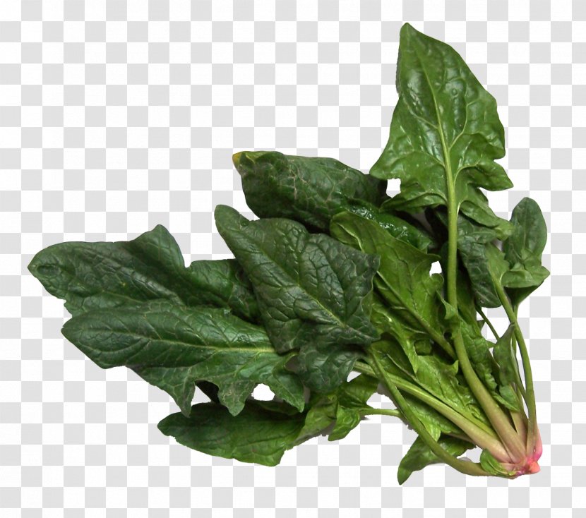 Spinach Salad Vegetable Image - Leaf - Pistachio Transparent PNG