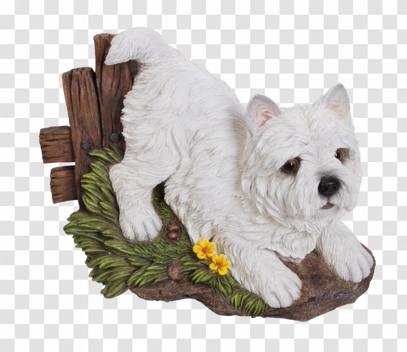 West Highland White Terrier Yorkshire Dog Breed Companion - Puppy Transparent PNG