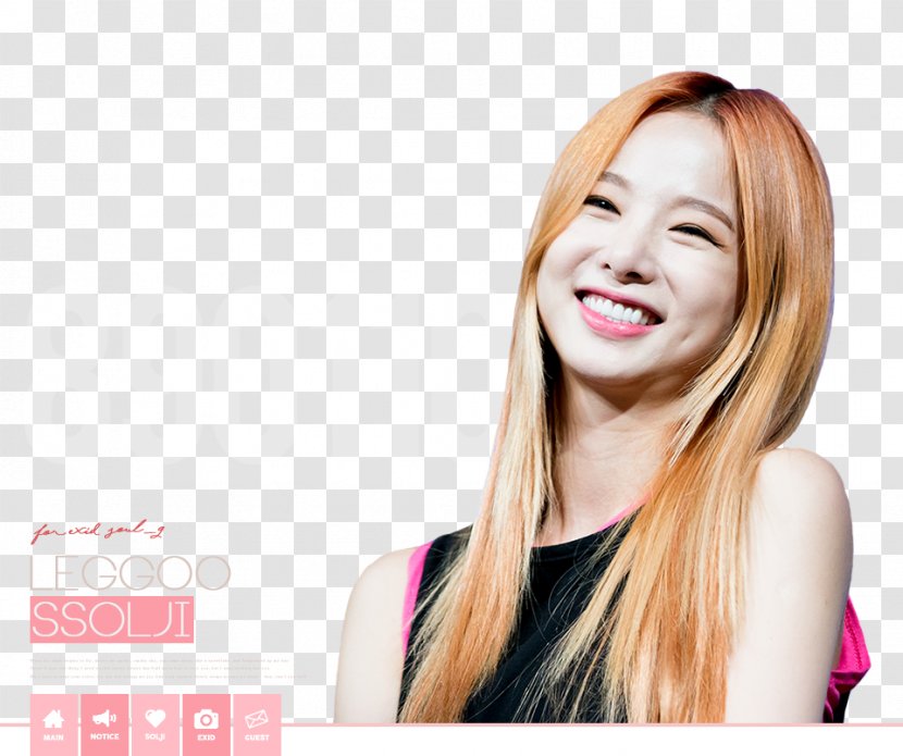 Solji EXID K-pop Dachshund All-female Band - Frame Transparent PNG