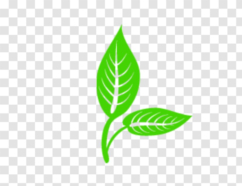 Logo Leaf Vector Graphics Clip Art Euclidean - Plant Stem Transparent PNG
