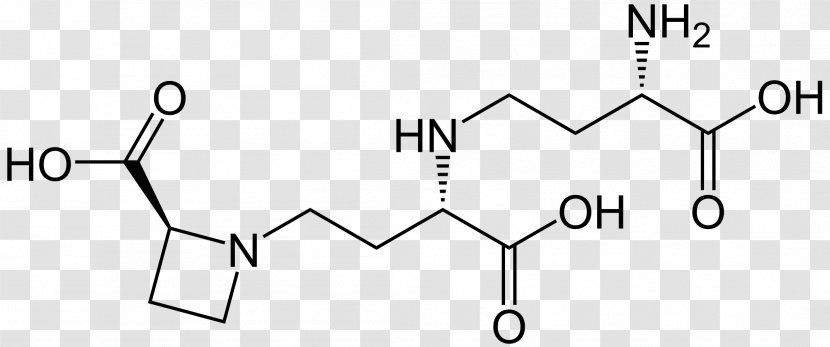 Carboxylic Acid Substance Theory Mandelic Amino - Area - Rectangle Transparent PNG