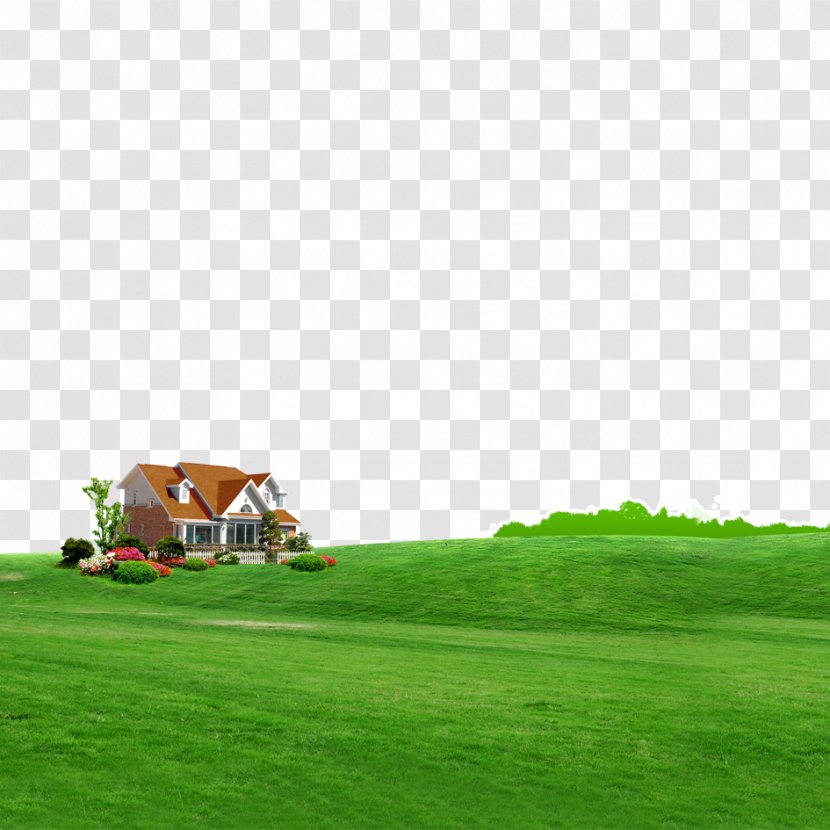 Green Grassland Wallpaper - Meadow - Prairie Home Transparent PNG