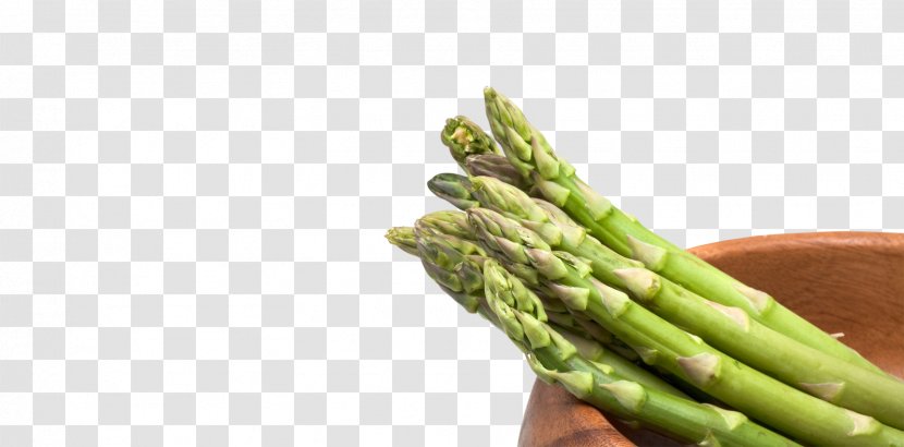 Asparagus Photography Depositphotos Tea Royalty-free - Commodity - Spoon Salt Transparent PNG