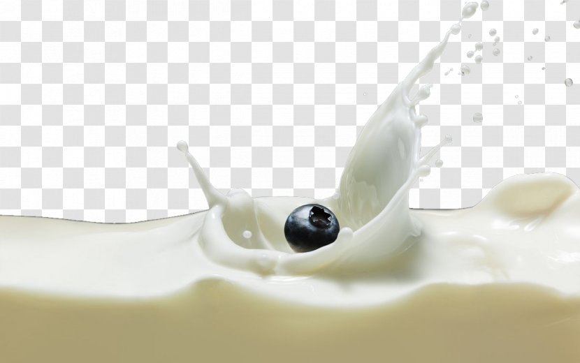 Download Icon - Cows Milk - Blueberry Ripple Transparent PNG