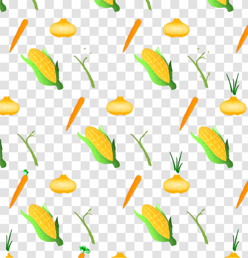 Plant Stem Leaf Yellow Pattern Meter Transparent PNG