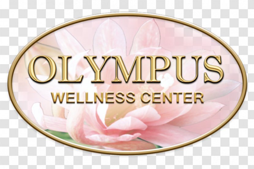 Brand Pink M - Wellness Center Transparent PNG