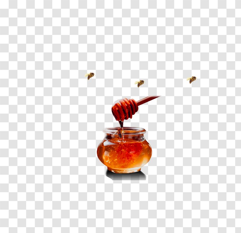 Honey Bee Download - Vector Transparent PNG