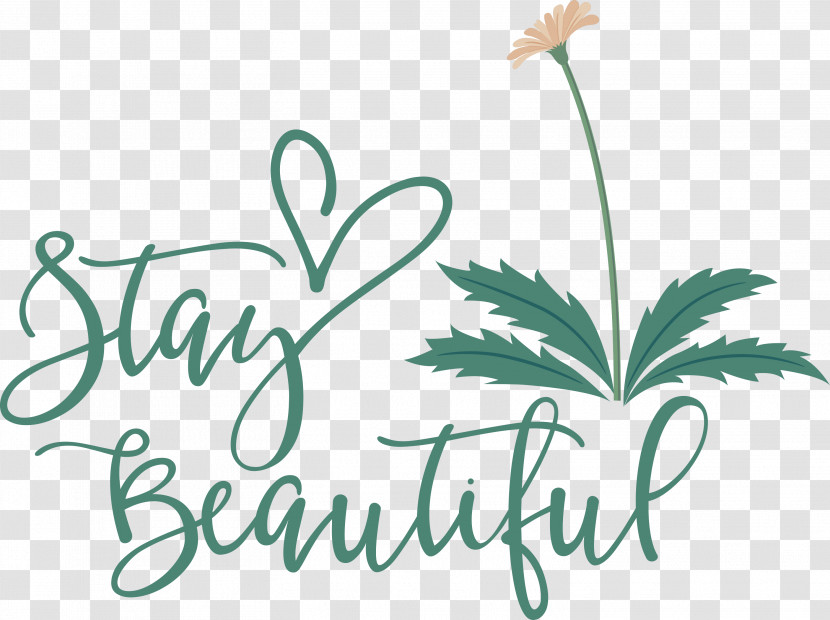 Stay Beautiful Fashion Transparent PNG