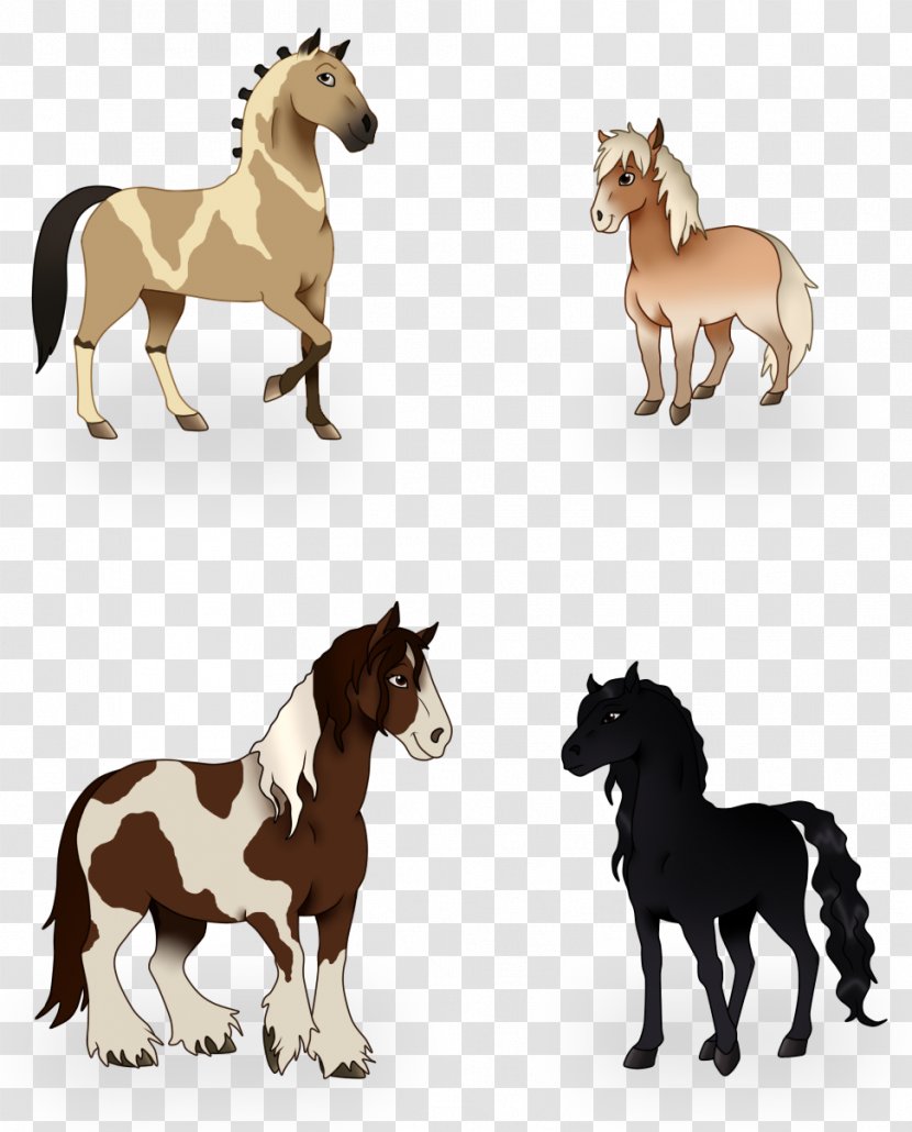 Foal Stallion Mustang Mare Colt - Animal - Horse Race Transparent PNG