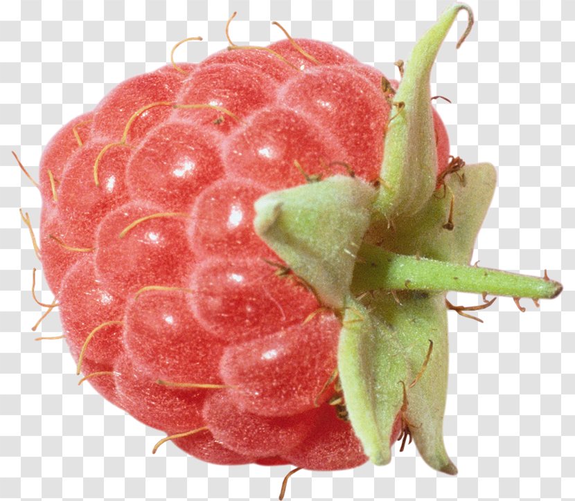 Red Raspberry Clip Art Transparent PNG