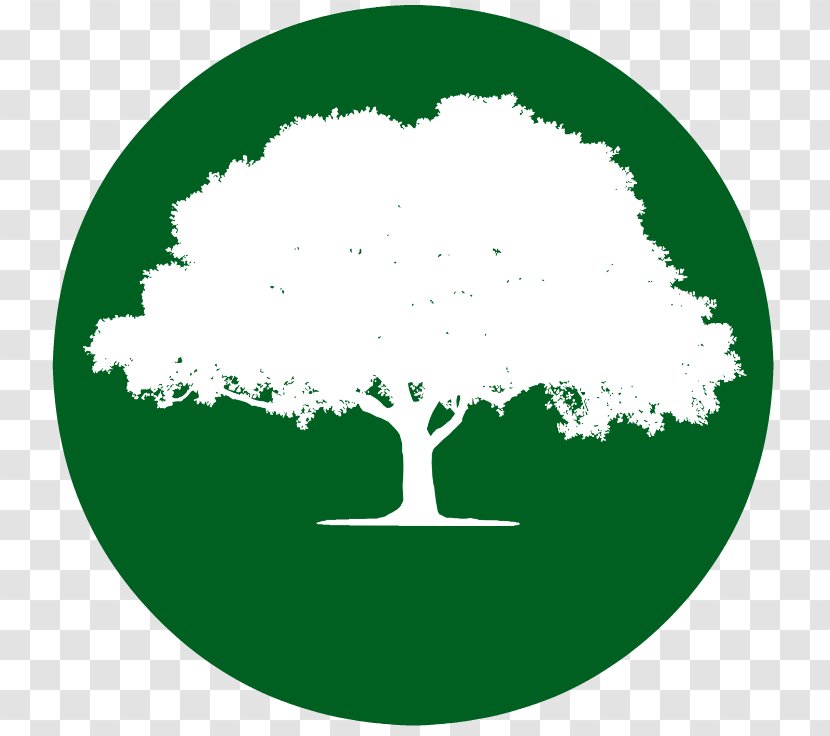 Business Complejo El Ombu Management Villa Amancay Tree - Charity Firm Transparent PNG