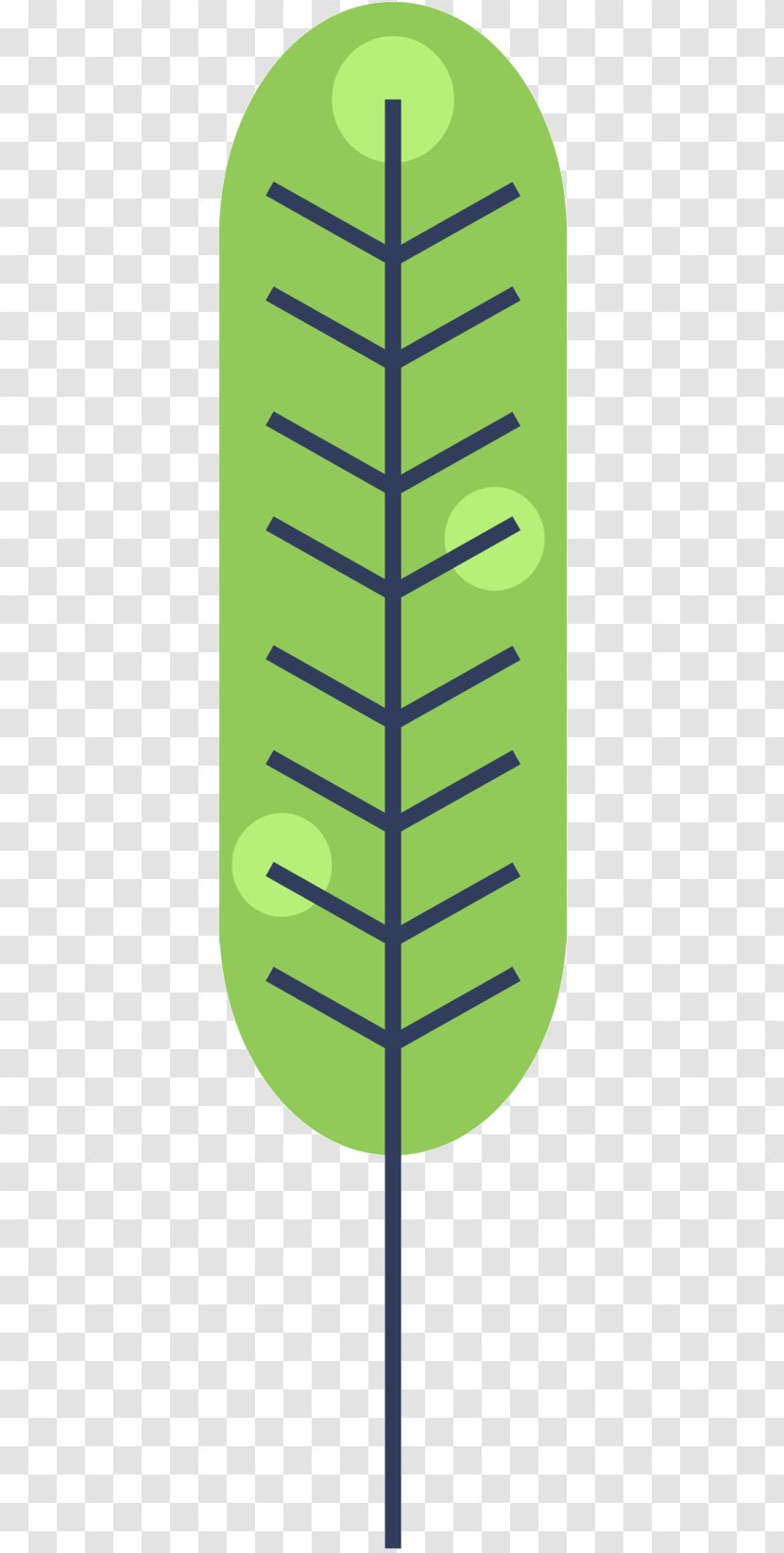 Line Leaf Angle Product Design - Tree - Rectangle Transparent PNG