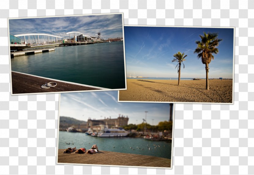 Barcelona Vacation Churro Blog Collage - Plage Transparent PNG