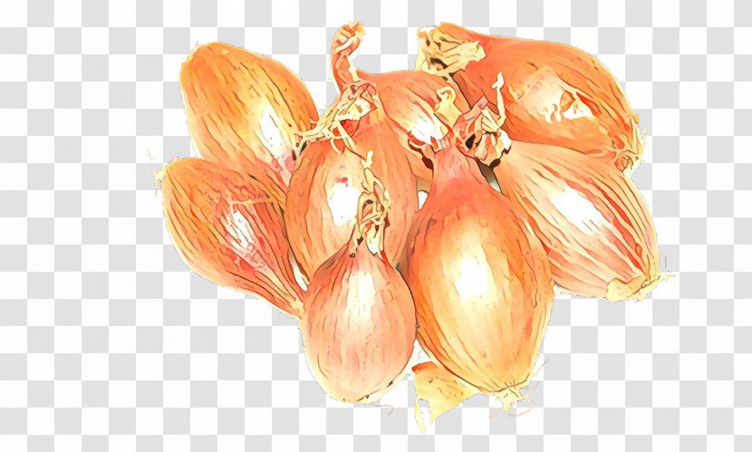 Shallot Yellow Onion Plant Vegetable Food Transparent PNG
