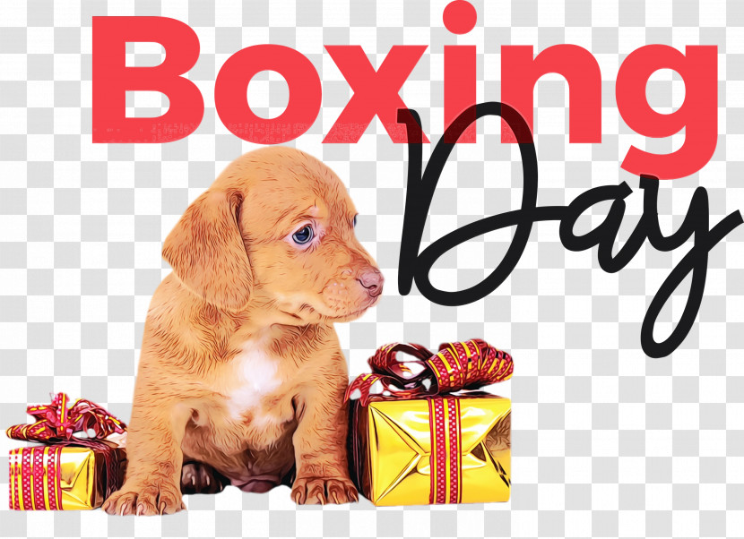 Boxing Day Transparent PNG