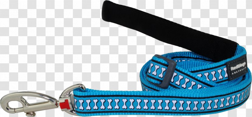 Dog Collar Leash Dingo - Turquoise Transparent PNG