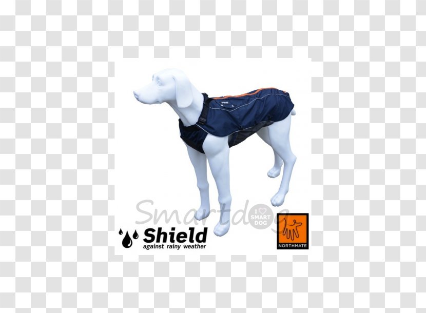 Dog Dingo Cat Puppy Grey - Joint Transparent PNG