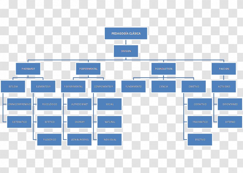 Work Breakdown Structure Diagram Organization Management Transparent PNG