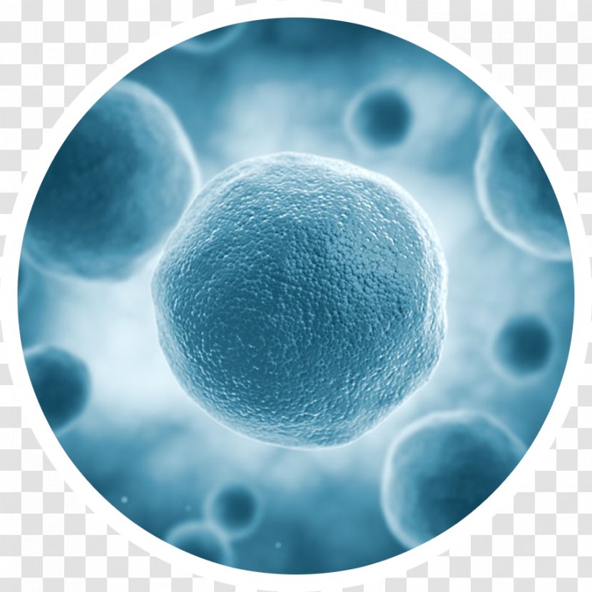 Stem Cell Virus Human Biology - Boneless Vector Transparent PNG