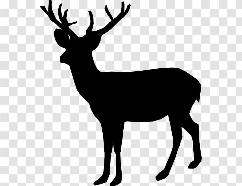 White-tailed Deer Reindeer Hunting Clip Art - Stencil - Whitetailed Transparent PNG