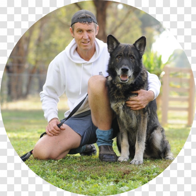 Dog Breed Obedience Training Snout Trial - Group Transparent PNG