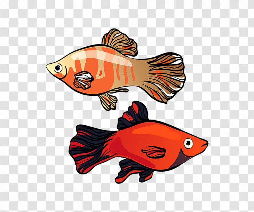 Illustration Clip Art Southern Platyfish Graphics - Platy - Stamp Transparent PNG