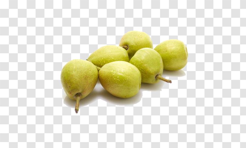 Korla Pyrus Nivalis Organic Food - Google Images - Green Pear Transparent PNG