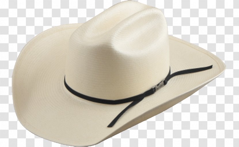 American Hat Company Straw - United States - America Transparent PNG