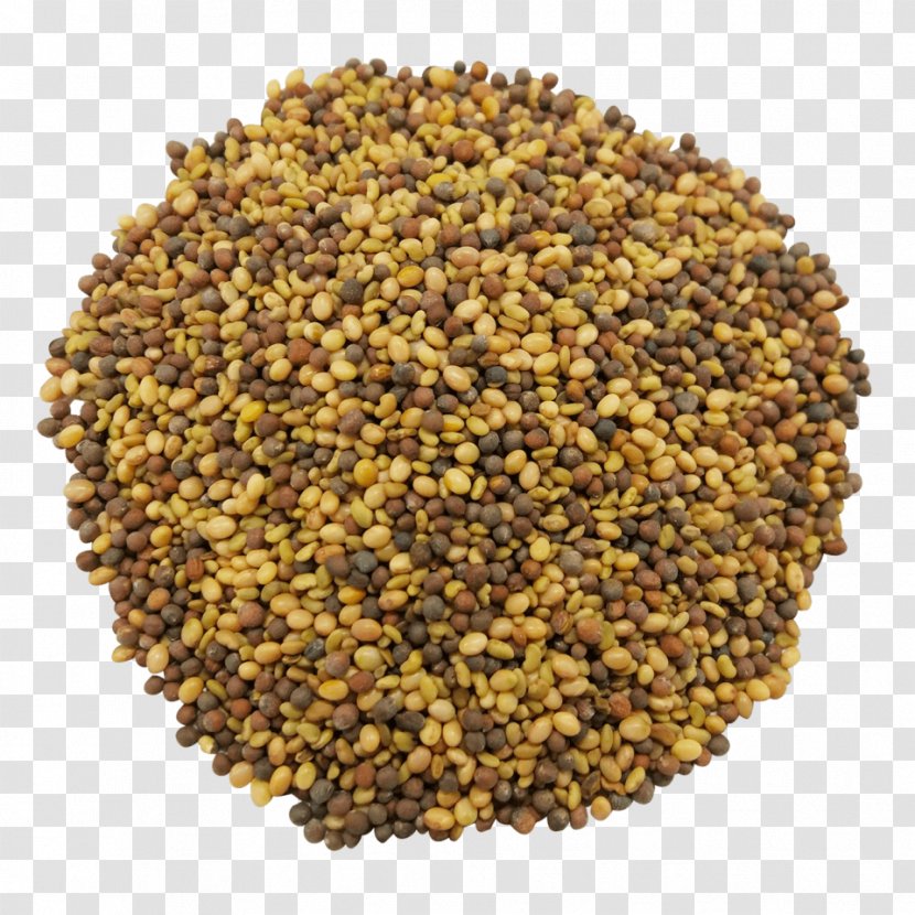 Mate Spice Za'atar Antioxidant Seed - Yerba - Rooibos Transparent PNG