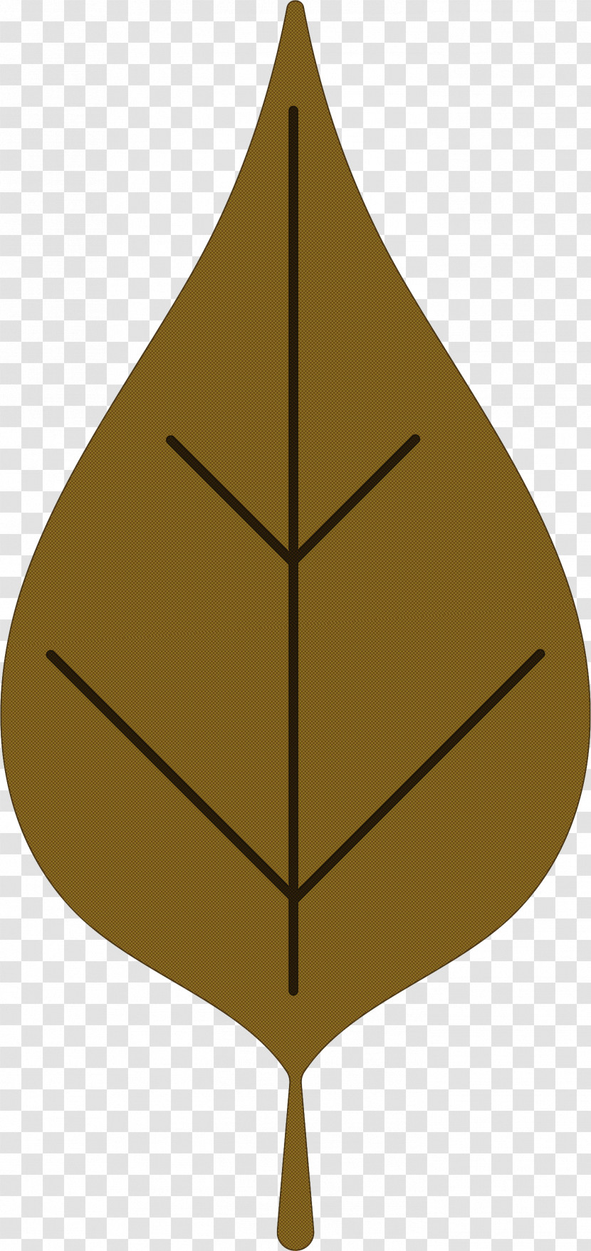 Leaf Triangle Angle Line M-tree Transparent PNG