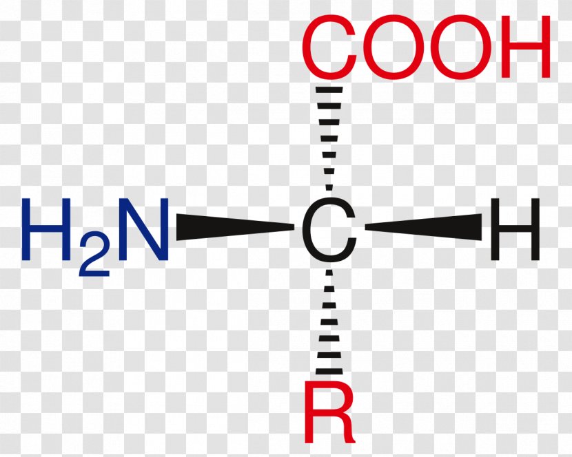 2-Butene Chemical Compound Methyl Group Isobutanol - Area - Bacteria Transparent PNG