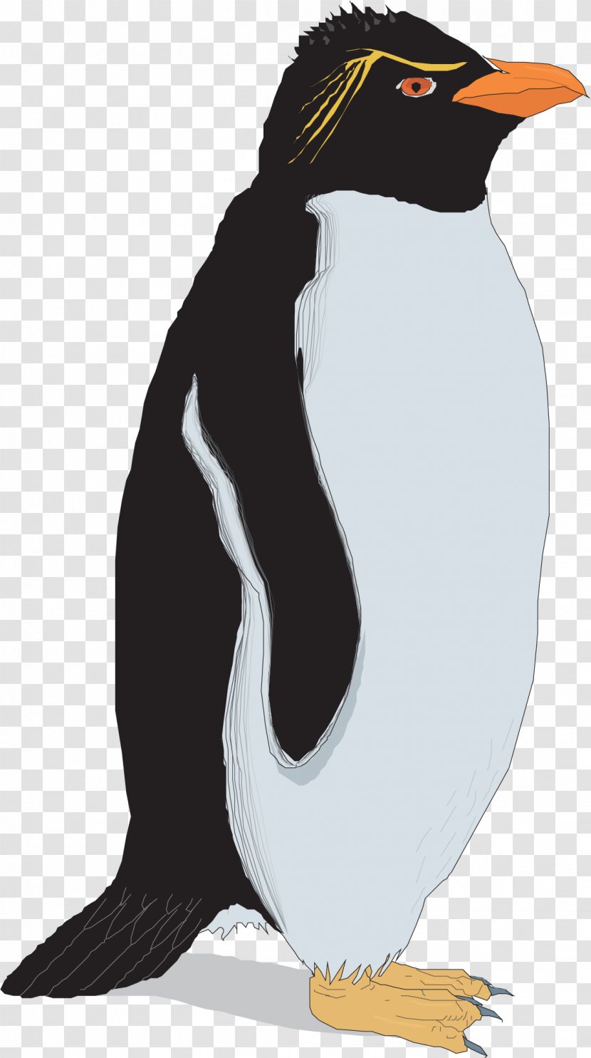 Rockhopper Penguin Clip Art - Gentoo - Vector Hand Painted Penguins Transparent PNG