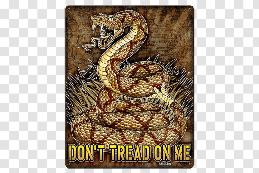Rattlesnake Gadsden Flag Military Second Amendment To The United States Constitution Michael - Right Keep And Bear Arms - Don't Tread On Me Transparent PNG