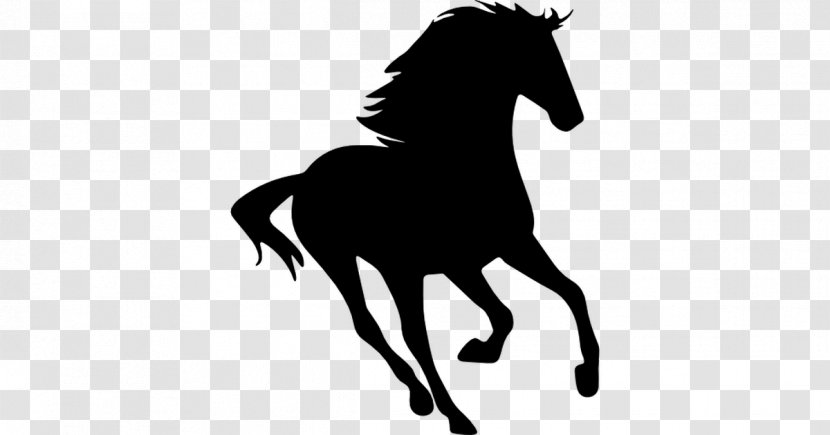 Standing Horse Silhouette Drawing Clip Art - Colt Transparent PNG