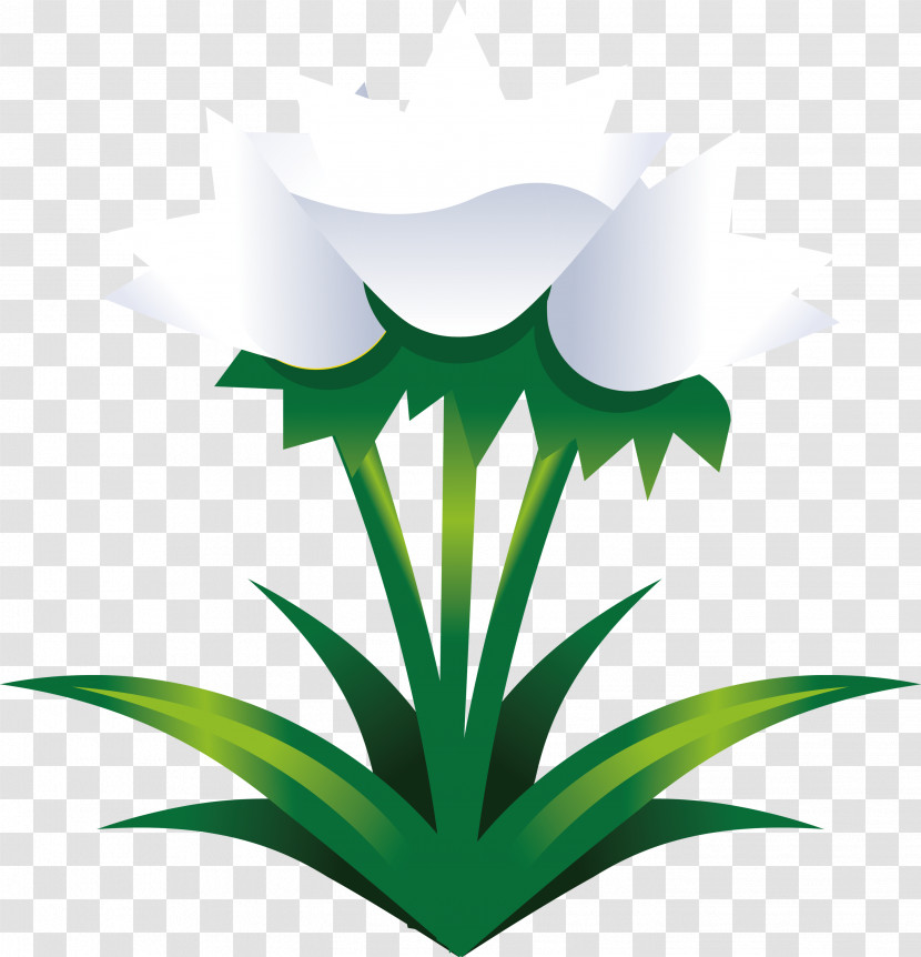 Easter Flower Spring Flower Transparent PNG