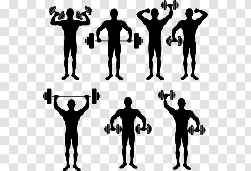 Physical Exercise Fitness Stretching Silhouette - Bodybuilding - Male Material Transparent PNG