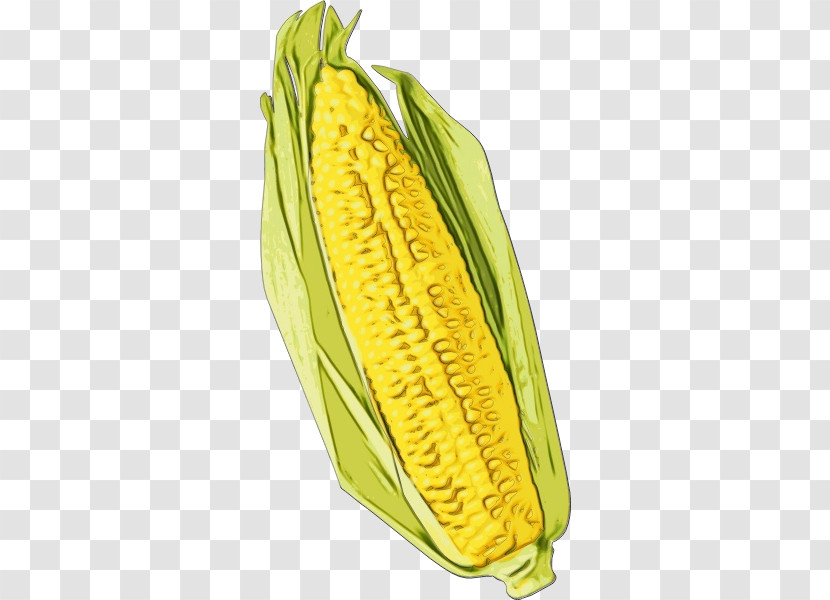 Corn On The Cob Sweet Corn Commodity Banana Maize Transparent PNG