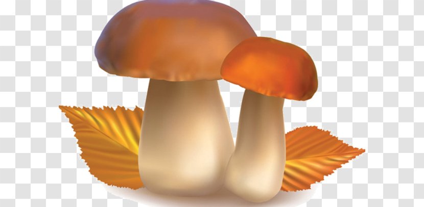 Vegetarian Cuisine Organic Food Clip Art - Mushroom Transparent PNG