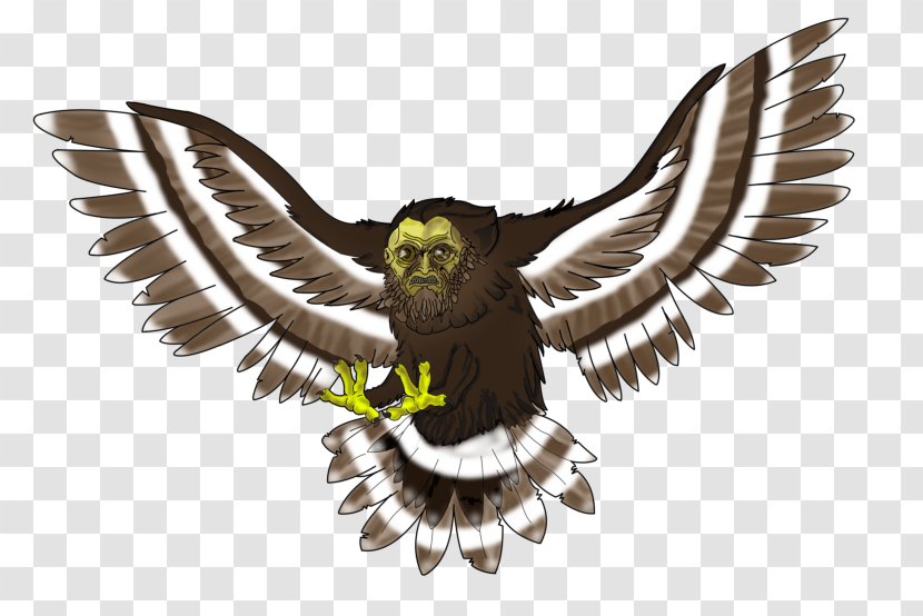 Eagle Owl Fauna Hawk Beak - Wildlife Transparent PNG